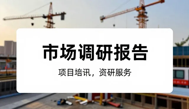 项目咨询服务中的市场调研如何影响选型决策